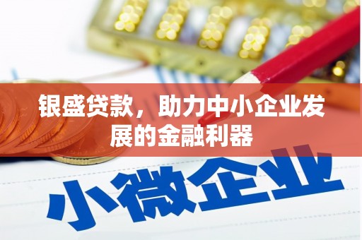 乌恰银盛贷款，助力中小企业发展的金融利器