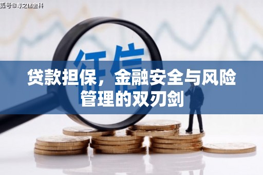乌恰贷款担保，金融安全与风险管理的双刃剑
