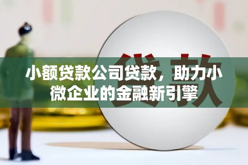 乌恰小额贷款公司贷款，助力小微企业的金融新引擎
