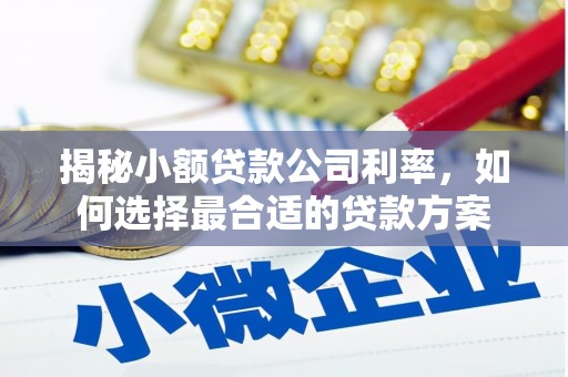 乌恰揭秘小额贷款公司利率，如何选择最合适的贷款方案