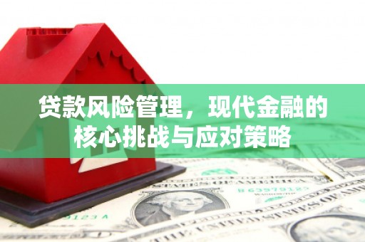 乌恰贷款风险管理，现代金融的核心挑战与应对策略