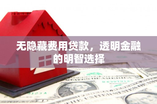 乌恰无隐藏费用贷款，透明金融的明智选择