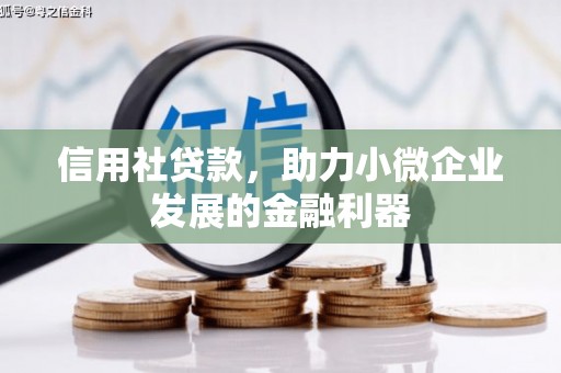 乌恰信用社贷款，助力小微企业发展的金融利器