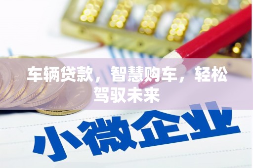 乌恰车辆贷款，智慧购车，轻松驾驭未来
