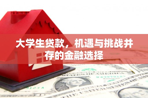 乌恰大学生贷款，机遇与挑战并存的金融选择