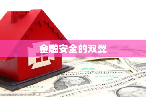 乌恰金融安全的双翼