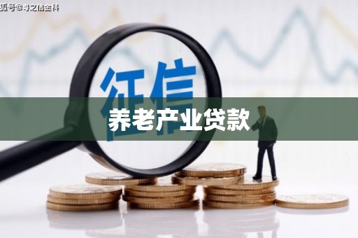 乌恰养老产业贷款