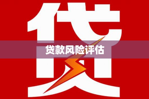 乌恰贷款风险评估
