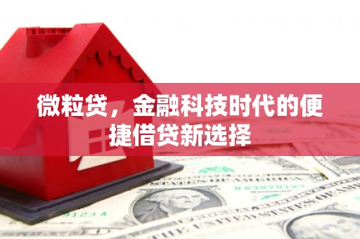 乌恰微粒贷，金融科技时代的便捷借贷新选择