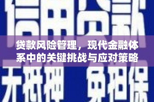 乌恰贷款风险管理，现代金融体系中的关键挑战与应对策略