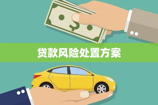 乌恰贷款风险处置方案