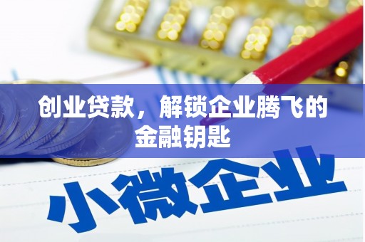乌恰创业贷款，解锁企业腾飞的金融钥匙