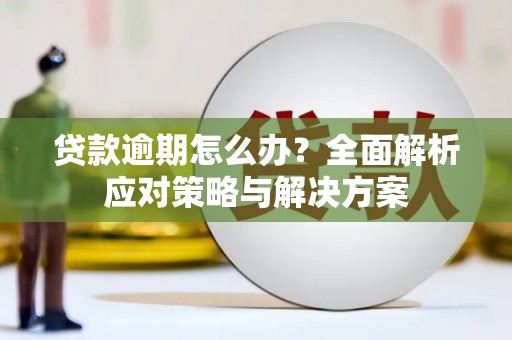 乌恰贷款逾期怎么办？全面解析应对策略与解决方案