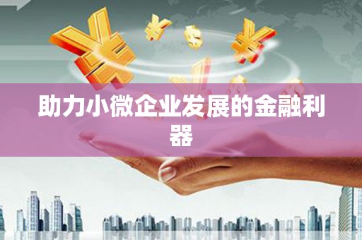 乌恰助力小微企业发展的金融利器
