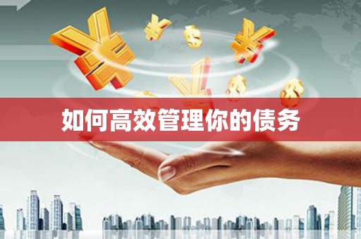 乌恰如何高效管理你的债务