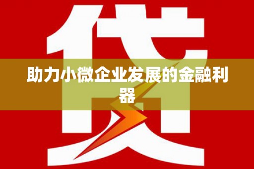 乌恰助力小微企业发展的金融利器