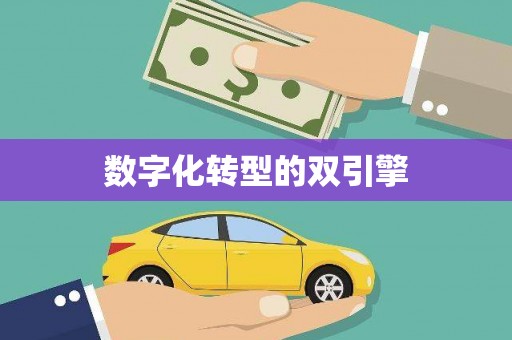 乌恰数字化转型的双引擎