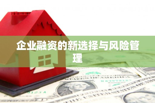 乌恰企业融资的新选择与风险管理