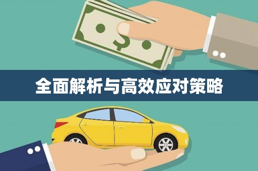 乌恰全面解析与高效应对策略