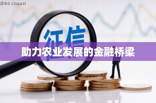 乌恰助力农业发展的金融桥梁