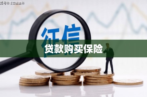 乌恰贷款购买保险