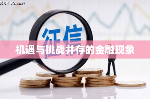 乌恰机遇与挑战并存的金融现象