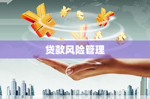 乌恰贷款风险管理