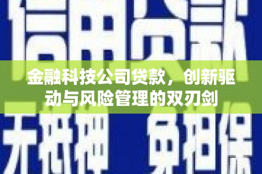 乌恰金融科技公司贷款，创新驱动与风险管理的双刃剑